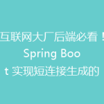 互联网大厂后端必看！Spring Boot 实现短连接生成的全攻略